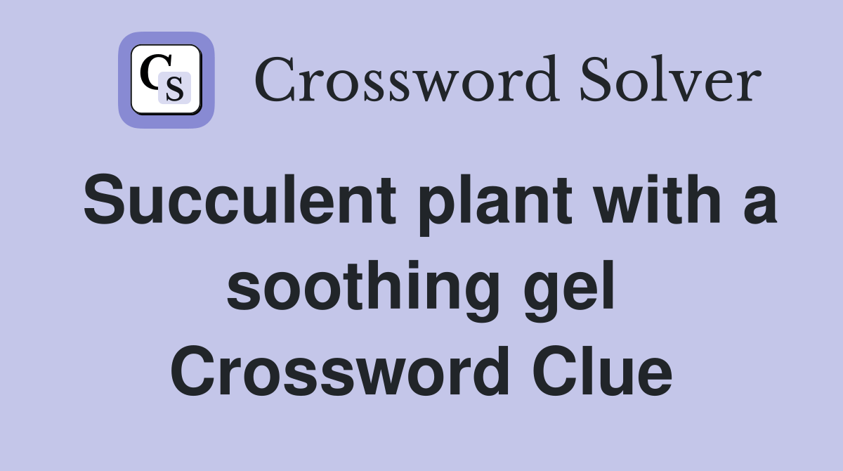 Succulent plant with a soothing gel Crossword Clue Answers